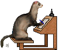 A ferret writing with pen and ink on a desk